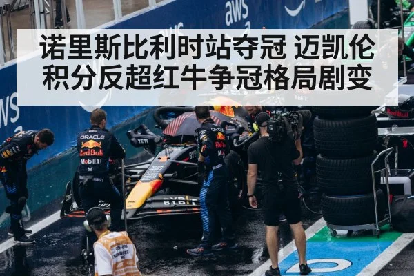 Red Bull F1 pit stop