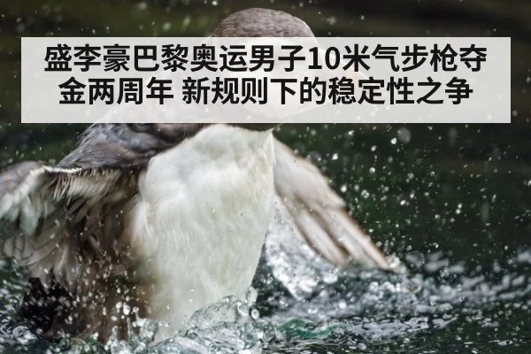 盛李豪巴黎奥运男子10米气步枪夺金两周年 新规则下的稳定性之争
