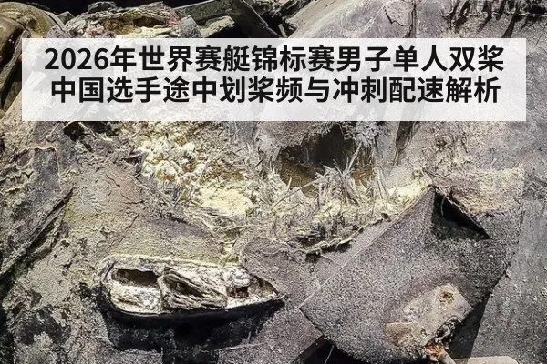 2026年世界赛艇锦标赛男子单人双桨 中国选手途中划桨频与冲刺配速解析